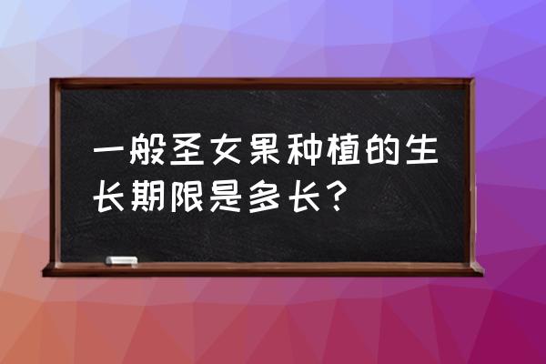 怎么种圣女果小番茄 一般圣女果种植的生长期限是多长？