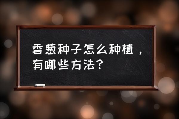 家里怎么种葱最好 香葱种子怎么种植，有哪些方法？