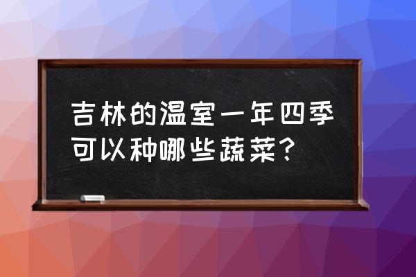 冬天家用大棚里面最适合种什么菜 吉林的温室一年四季可以种哪些蔬菜？