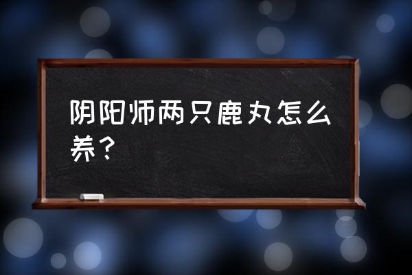 阴阳师sp式神有2个怎么办 阴阳师两只鹿丸怎么养？