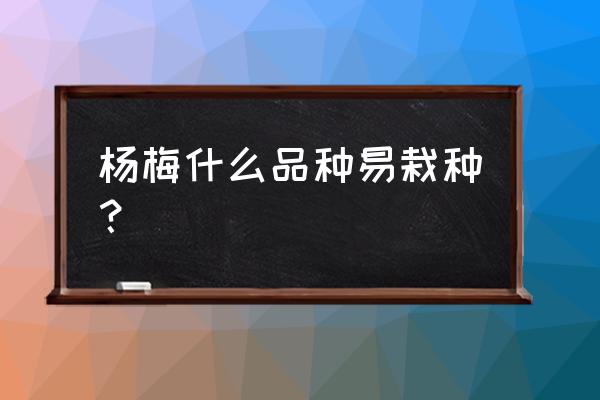 最好的杨梅种植方法 杨梅什么品种易栽种？