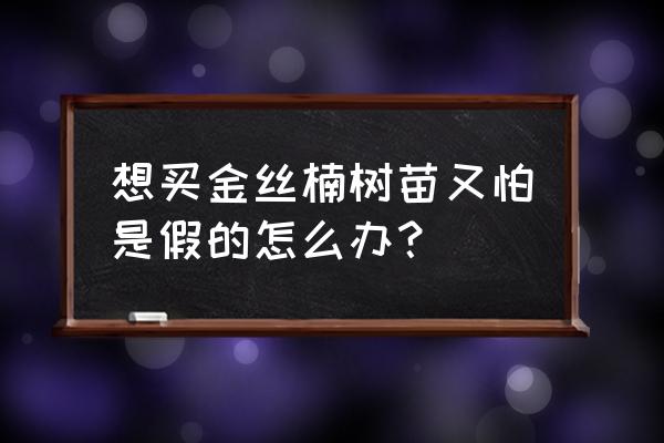 网上买到假树苗怎么鉴定 想买金丝楠树苗又怕是假的怎么办？