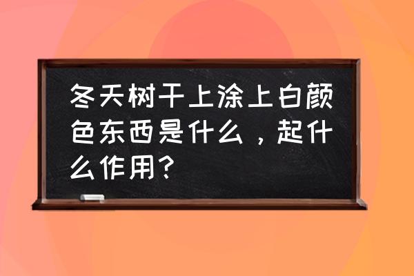 树干刷白介壳虫冬天会死吗 冬天树干上涂上白颜色东西是什么，起什么作用？