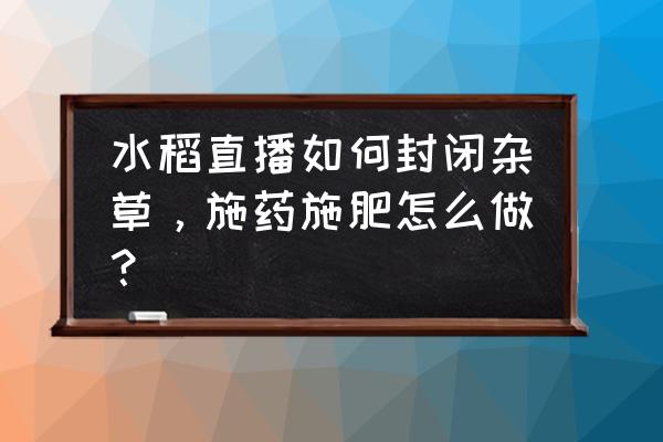 晚稻种植不用耕田的方法 水稻直播如何封闭杂草，施药施肥怎么做？