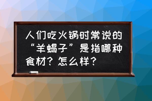 冬天家里有蝎子 人们吃火锅时常说的“羊蝎子”是指哪种食材？怎么样？