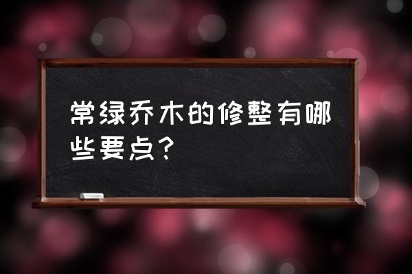 苗木伤口怎么好得快 常绿乔木的修整有哪些要点？