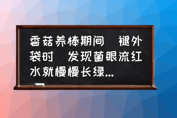 苹果前置摄像头的绿点怎么弄掉 香菇养棒期间（褪外袋时）发现菌眼流红水就慢慢长绿霉怎么办？