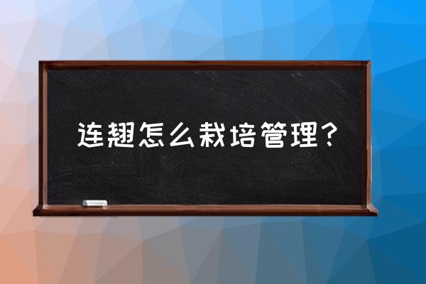 蝼蛄虾蒸几分钟 连翘怎么栽培管理？