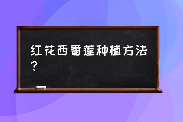 西番莲扦插多久生根 红花西番莲种植方法？