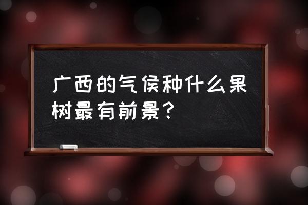 广西种植什么水果最快 广西的气侯种什么果树最有前景？