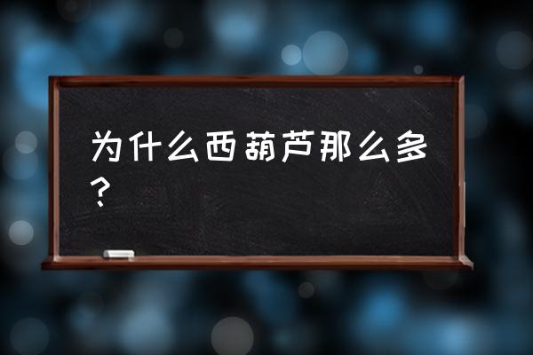 露地的西葫芦如何留瓜 为什么西葫芦那么多？