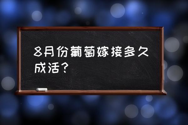 葡萄嫁接技术简单易学 8月份葡萄嫁接多久成活？