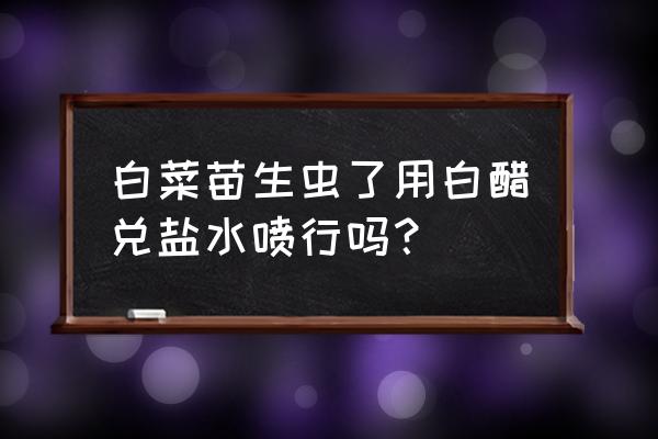 治白菜虫子的小妙招 白菜苗生虫了用白醋兑盐水喷行吗？