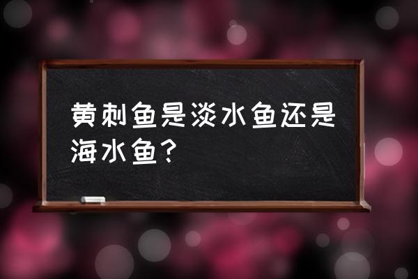 黄刺鱼养殖技术基地 黄刺鱼是淡水鱼还是海水鱼？