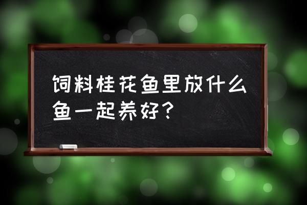 桂花鱼怎么养殖才能旺盛 饲料桂花鱼里放什么鱼一起养好？