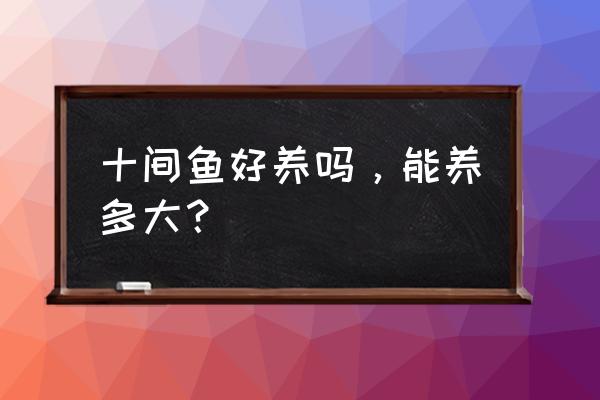 十间鱼公母鉴别 十间鱼好养吗，能养多大？