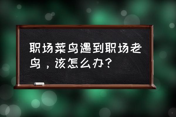 刚入职场的小白如何处理人际关系 职场菜鸟遇到职场老鸟，该怎么办？