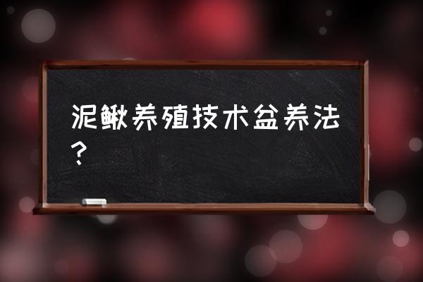 如何养殖泥鳅 泥鳅养殖技术盆养法？