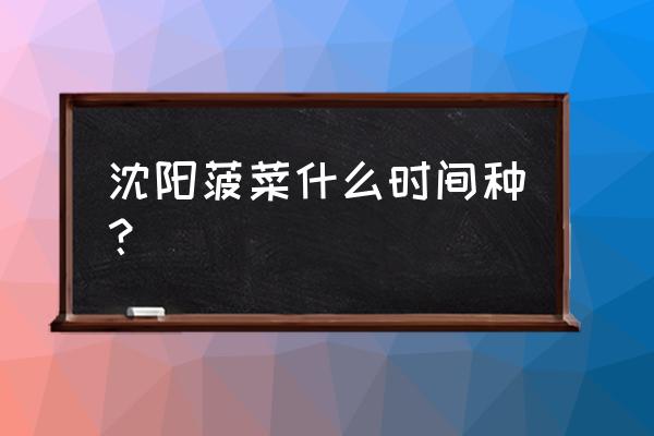 冬菠菜种植的方法与时间 沈阳菠菜什么时间种？