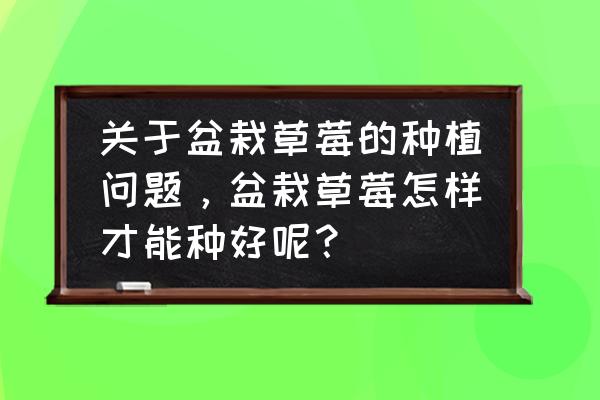 草莓都用什么盆栽种植的 关于盆栽草莓的种植问题，盆栽草莓怎样才能种好呢？