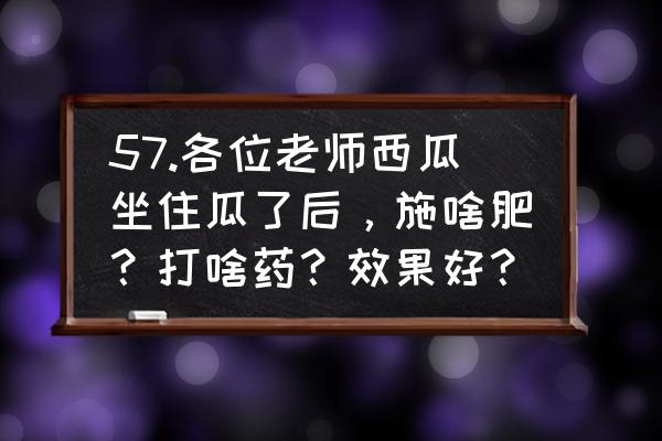 露地西瓜蔓枯病严重怎么治 57.各位老师西瓜坐住瓜了后，施啥肥？打啥药？效果好？