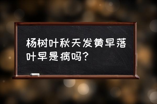 秋天容易犯什么病 杨树叶秋天发黄早落叶早是病吗？