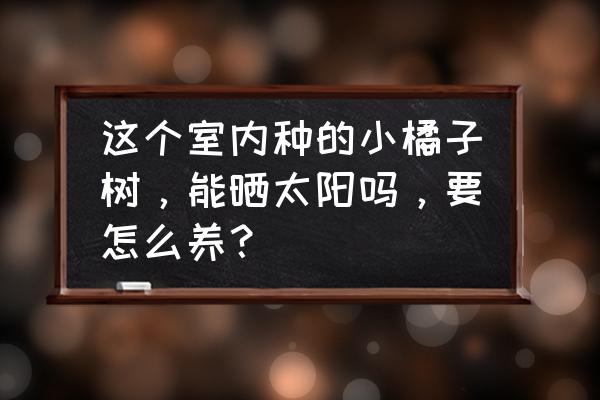 盆栽橘子树用什么土种植好呢 这个室内种的小橘子树，能晒太阳吗，要怎么养？