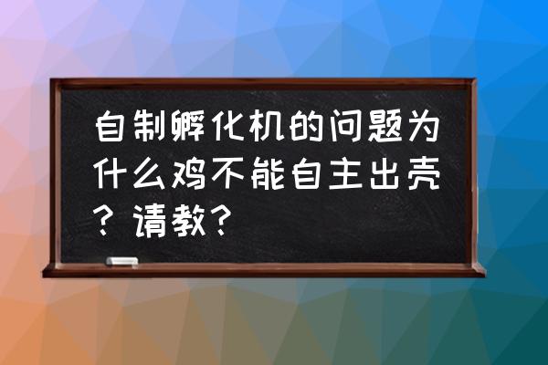 家用孵化机的制作方法 自制孵化机的问题为什么鸡不能自主出壳？请教？