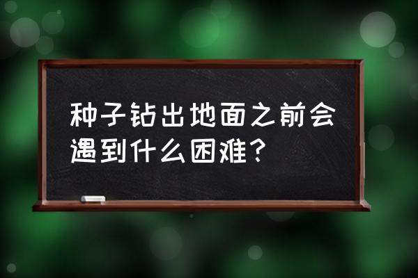 种子在怎样的土地中先发芽 种子钻出地面之前会遇到什么困难？