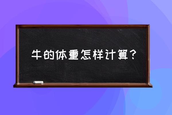 怎么用尺子量牛的体重 牛的体重怎样计算？