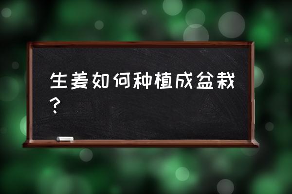 盆栽生姜怎么判断成熟了 生姜如何种植成盆栽？